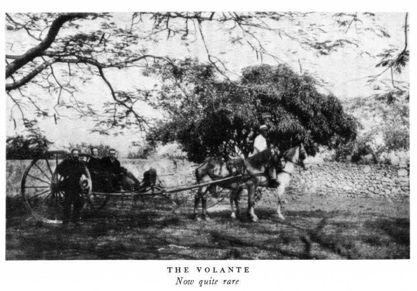 THE VOLANTE