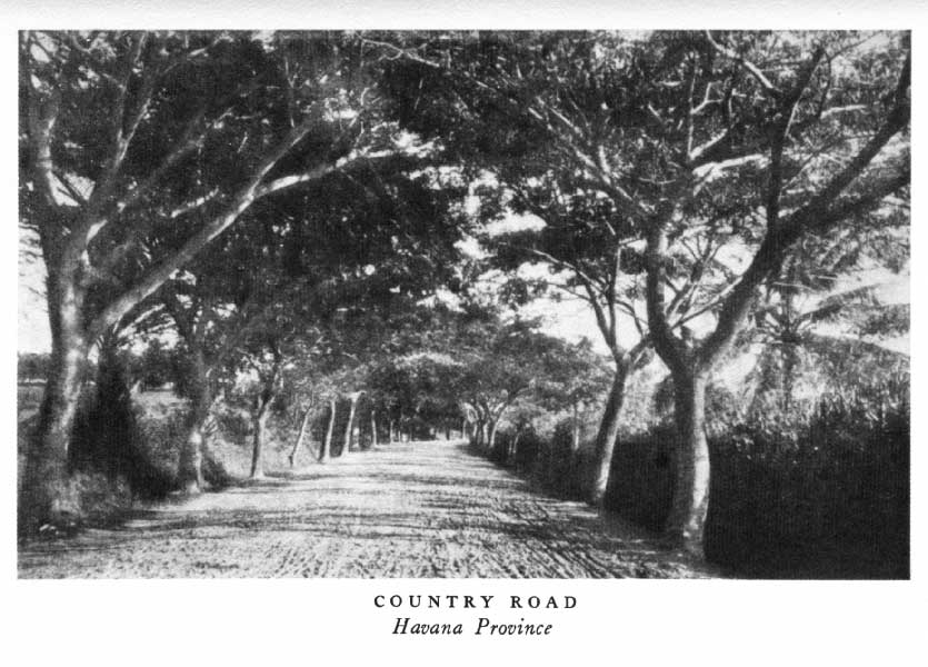 COUNTRY ROAD