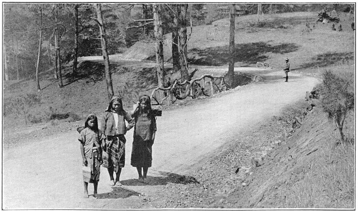 A Typical Baguio Road