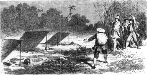 'They Greeted These Indian Relics As Crusoe Did The Footprints of the Savages.'