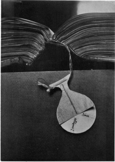 PLATE XXXV

ANCIENT VELLUM BOOK-MARKER WITH REVOLVING DISC

FROM A DOUBLE-COLUMN CANTERBURY BIBLE; THE DISC CAN BE USED TO MARK
COLUMN AND LINE. MS. 49 C.C. COLL. CAMB.