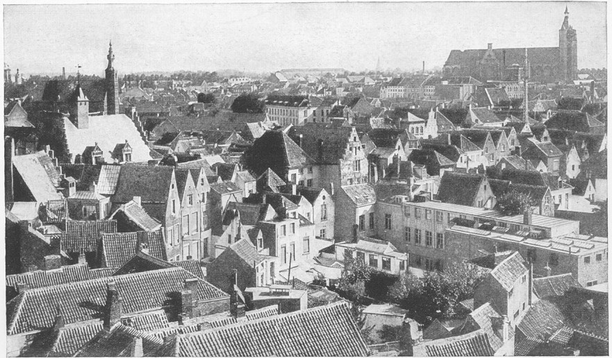 Fig. 10
