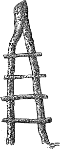 ladder