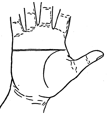 Plate VI. THE LINE OF HEAD AND THE LINE OF HEART RUNNING TOGETHER.