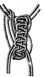 FIG. 575. LARGE SHELL
KNOT, OPEN.