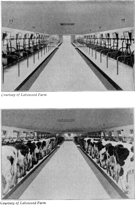 Fig. 11. A Sanitary Dairy.