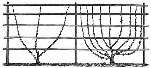 Fig. 14. and Fig. 15.