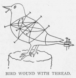 BIRD WOUND WITH THREAD.