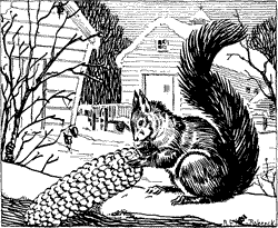 A squirrel sitting on a fence, eating an ear of corn