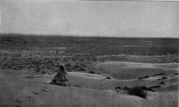 On the sands of the desert