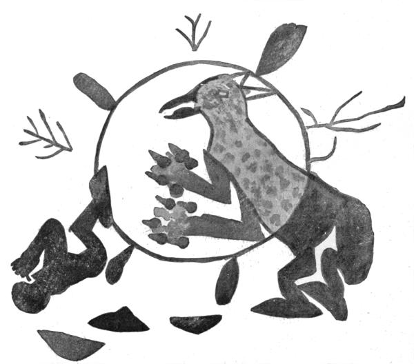 Fig. 265—Mountain lion