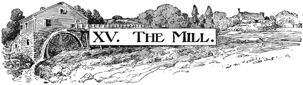 XV. THE MILL