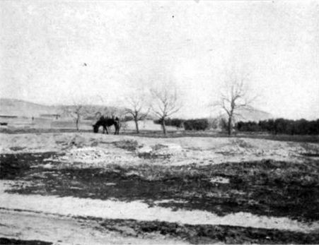 A Moslem Cemetery