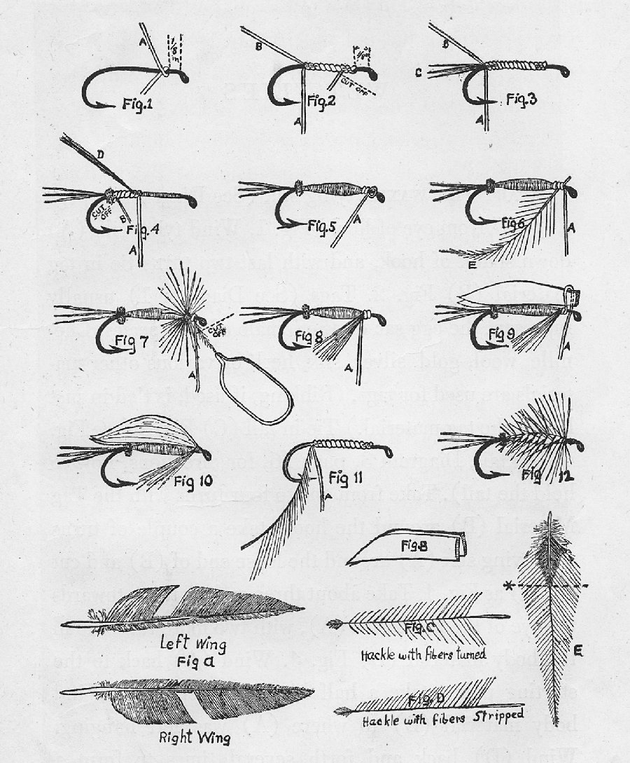 Page sized diagram
showing drawings of wet flys.