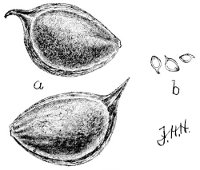 Fig 76.