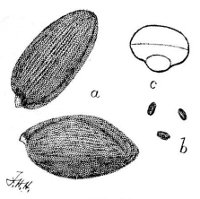 Fig 88.