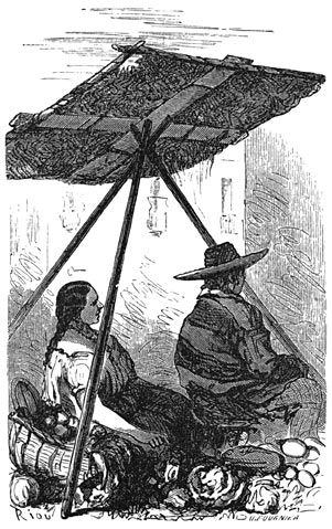 De markt-parasol.
