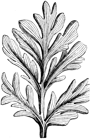 Fig. 52