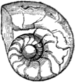 Fig. 55