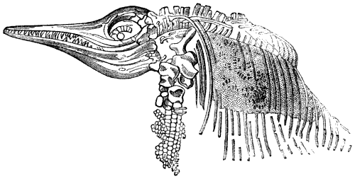 Fig. 98