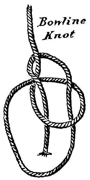 Bowline knot