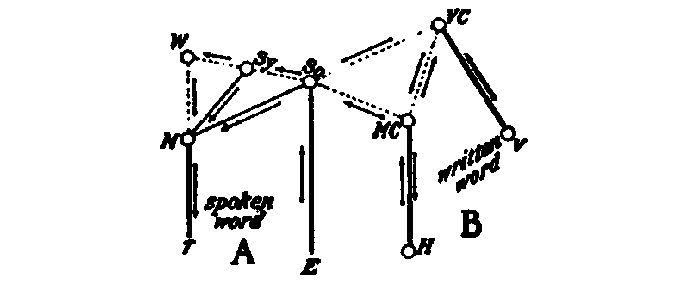 The peripheric channels are indicated by heavy lines; the central
channels of association by dotted lines; and those referring to
association in relation to the development of the heard speech by
light lines.