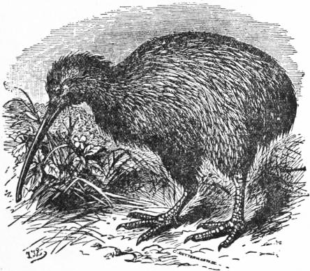 The Project Gutenberg Ebook Of Encyclopaedia Britannica Volume Xv Slice Viii Kite Flying To Kyshtym