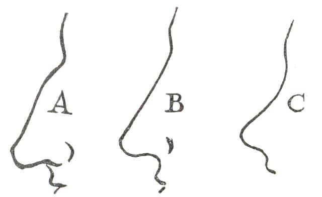 Fig. 21

A, ROMAN; B, GRECIAN; C, CHERUBIC