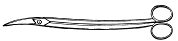 Long-handled sharp-pointed Scissors curved on the flat