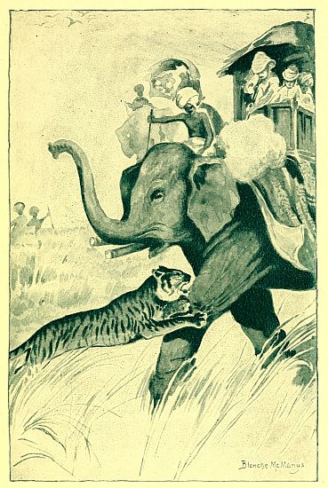 tiger attacking an elephant that people are riding