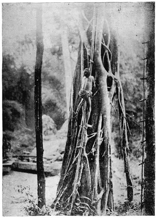 castes and tribes of southern india volume iii k description