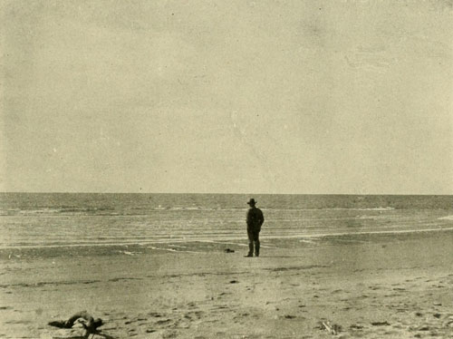 Gulf of Calfornia at
the Mouth of the Colorado.