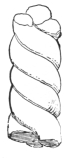 Fig. 411.—Handle of Twisted Clay.