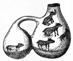Fig. 425.—Painted Water-vessel, found at Tegua.