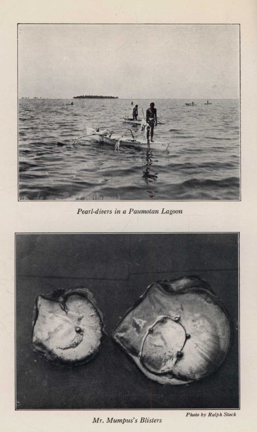*Pearl-divers in a Paumotan Lagoon; Mr. Mumpus's Blisters*