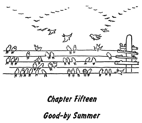 Chapter Fifteen, Good-by Summer