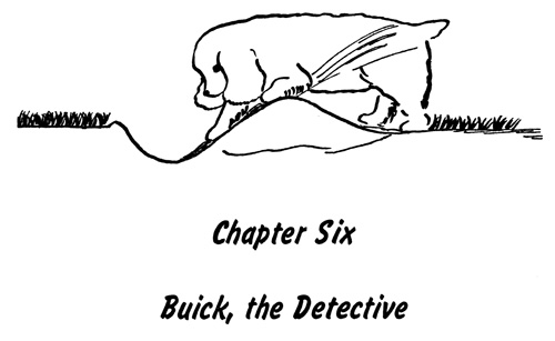 Chapter Six Buick, the Detective