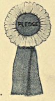 A Pledge rosette