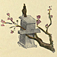 A birdbox in a tree