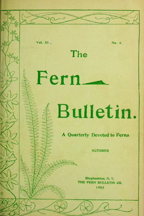 The Fern Bulletin, Vol. XI. No. 4.