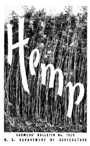 USDA Farmers' Bulletin No. 1935: Hemp, by B. B. Robinson