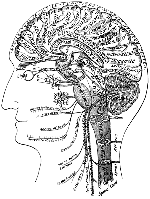 Frontispiece: Map of the Intellectual Faculties—The Mind.