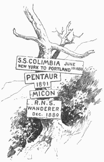 Records of passages through the strait at the head of
Borgia Bay. Note.—On a small bush nearer the water there was a board
bearing several other inscriptions, to which were added the words
"Sloop Spray, March, 1896"