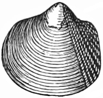 Fig. 701.