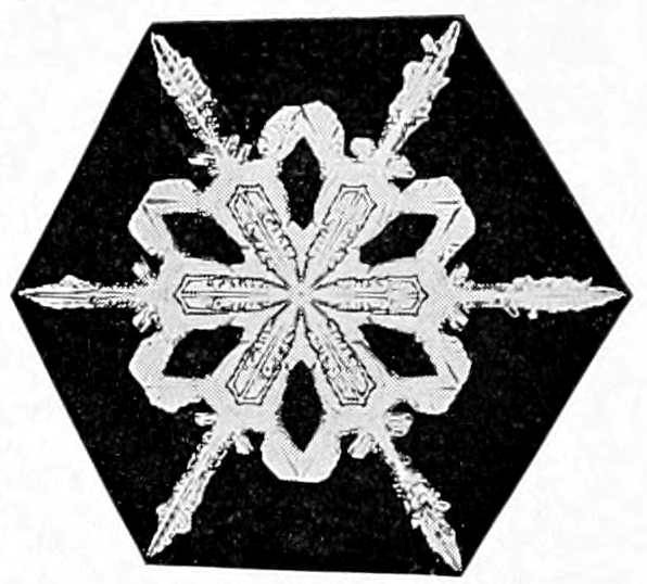 Snow crystal