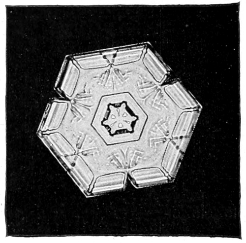 Snow crystal