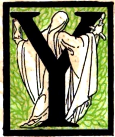 Y