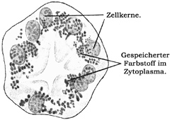 Fig. 28.