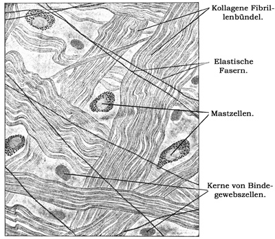 Fig. 47.