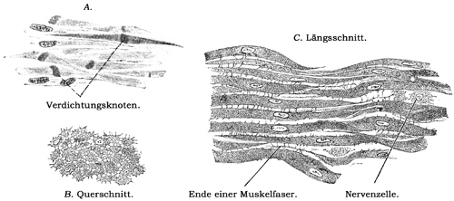 Fig. 82a.
